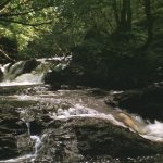 photograph of Inversnaid Falls upstream, with Ash & Fern
